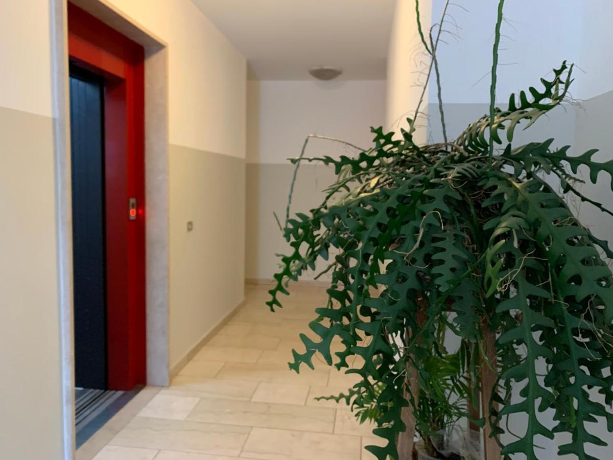 B&B Verona Business And Fun G B Rossi Friendly Exterior foto
